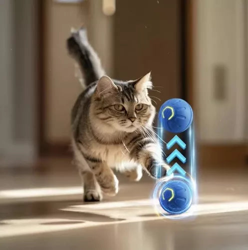 Pelota Estimulante para Mascotas